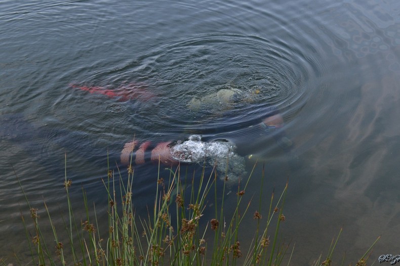 Rampe 310714 (26).jpg